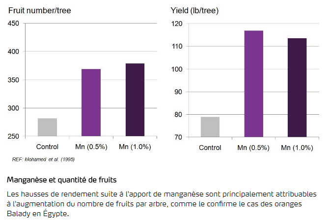 Manganèse et quantité de fruits