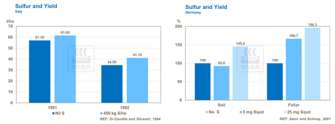 Graphique nutriment soufre pour les tomates