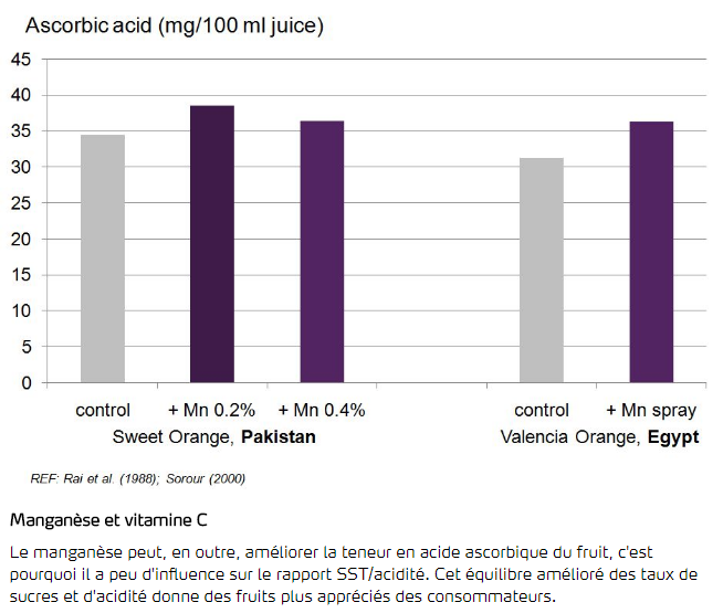Manganèse et vitamine C