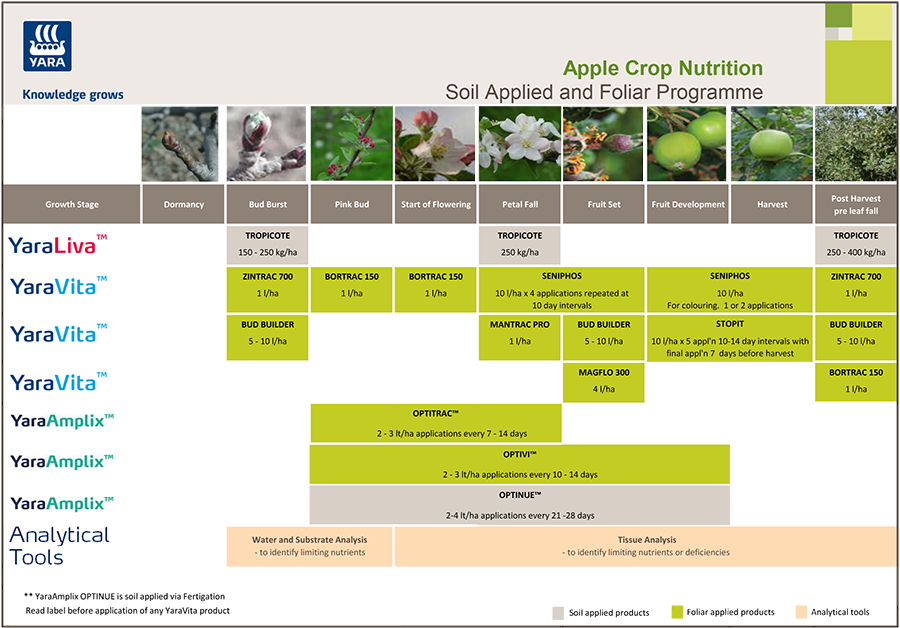 Apple fertiliser programme