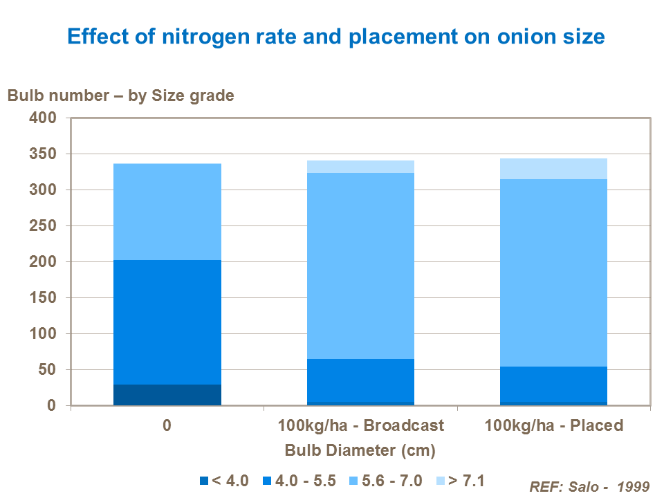 Effect of nitrogen rate and placement on onion size