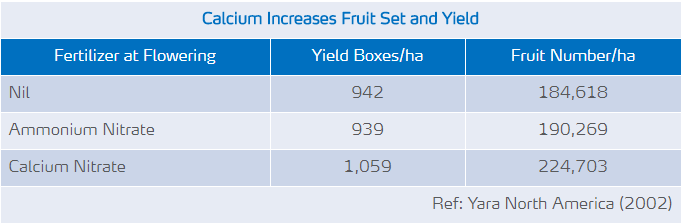 Le calcium accroît le rendement 