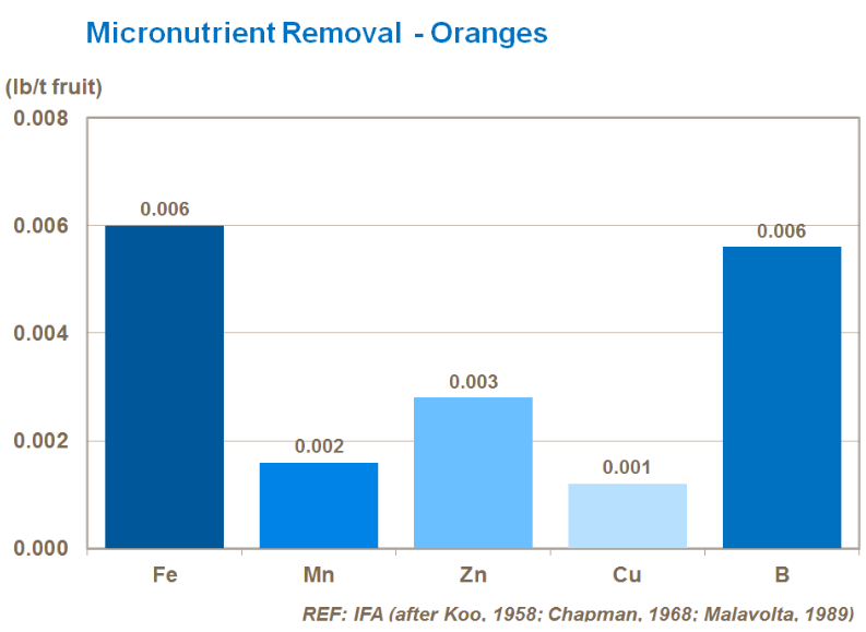 Élimination des micro-nutriments - Oranges 