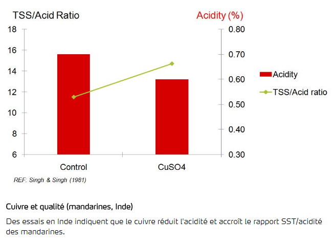Cuivre et qualité des fruits - Mandarines