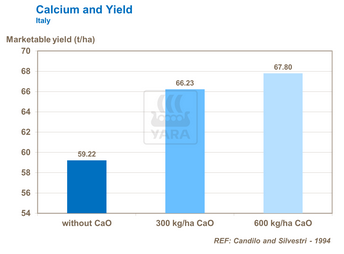Graphique nutriment calcium pour les tomates