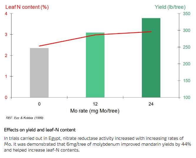 Molybdène et rendement 