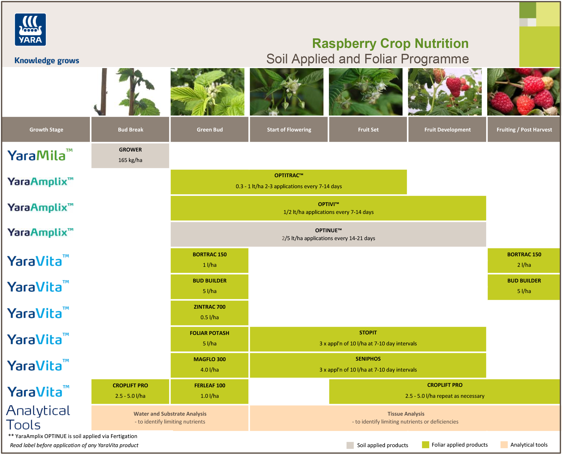 Raspberry fertiliser programme