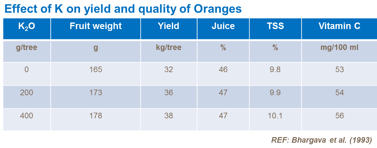 Effet du potassium sur rendement et qualité des oranges