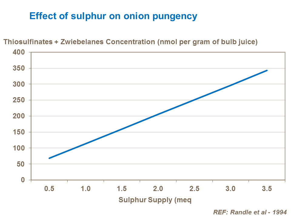 Effect of sulphur on onion pungency