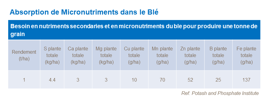 FR - micronutrient uptake in wheat.png