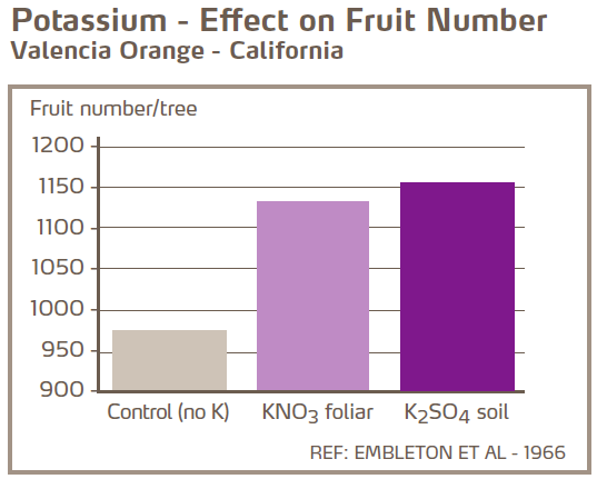 Effet du potassium sur le nombre de fruits - Oranges