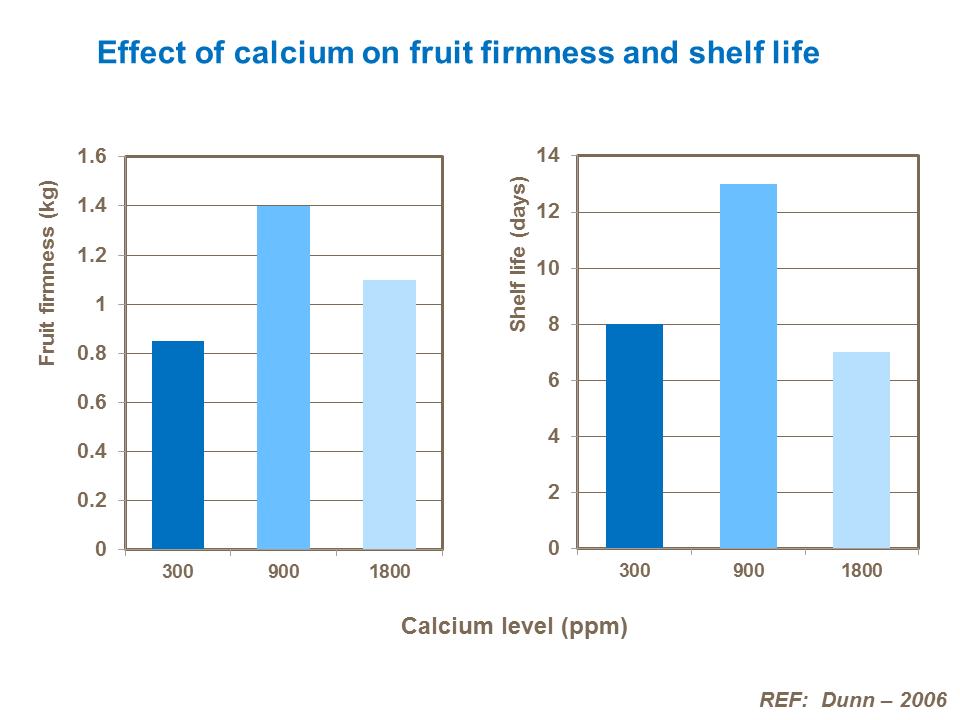 Effect of calcium on fruit firmness and shelf life