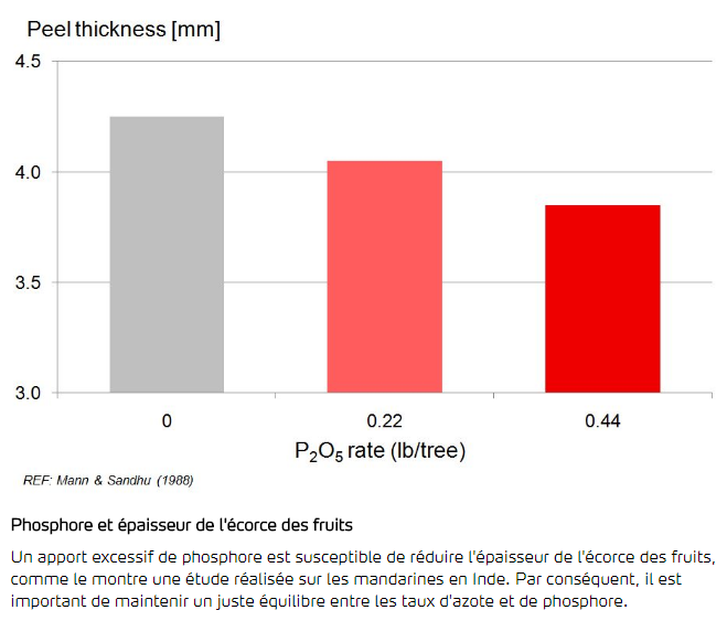 Phosphore et épaisseur de l'écorce des fruits