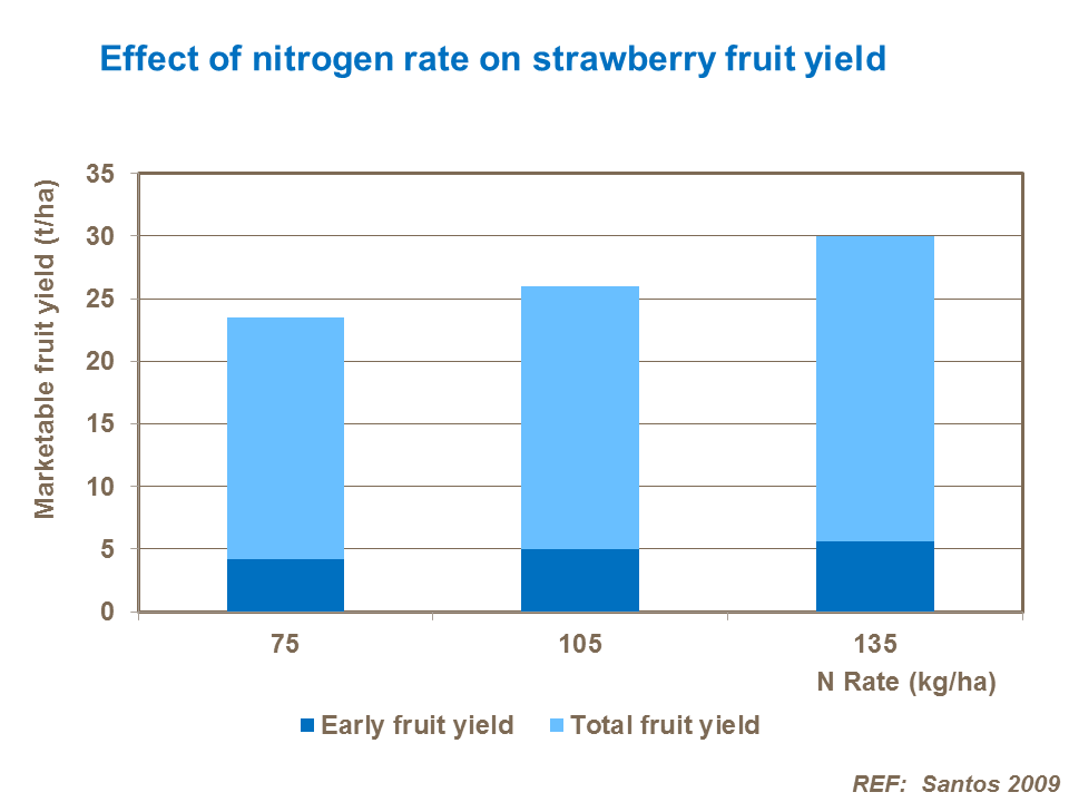 Effect of nitrogen rate on strawberry fruit yield
