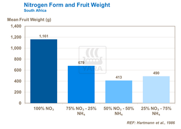 Graphique sur lien entre apport azote et poids des fruits