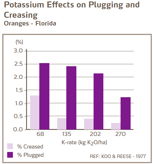 Effets du potassium sur le déchirement et l'ondulation des écorces