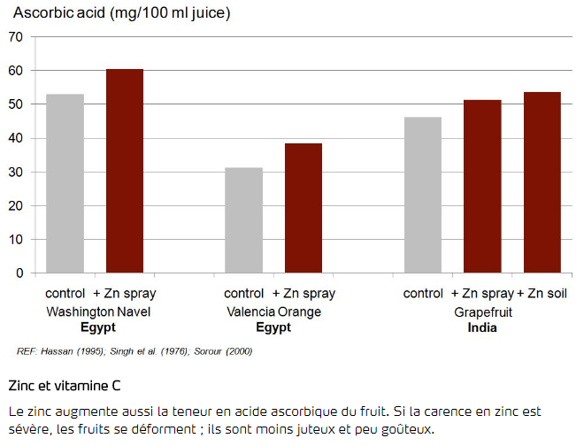 Zinc et vitamine C