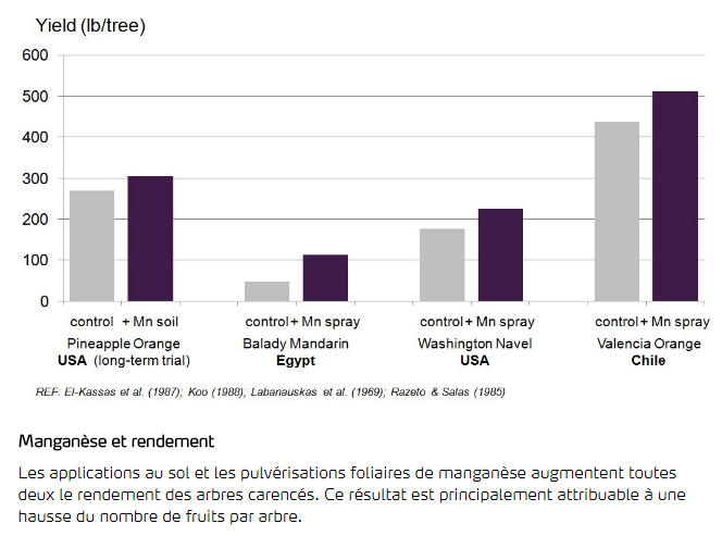 Manganèse et rendement