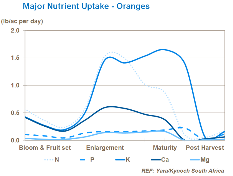 Principales absorption de nutriments  - Oranges 